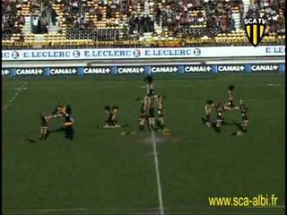 Les Abeilles, pompom girls d'Albi (Rugby ProD2)