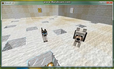 We are lovely pet (Minecraft) ep.1