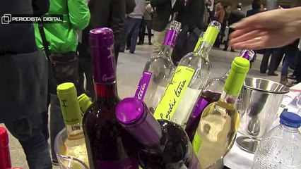 Presentación de los Vinos D.O. La Mancha. 4-12-2014