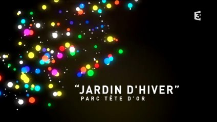 Fête des lumières : Jardin d'hiver, parc de la Tête d'or