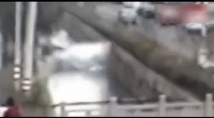 Car Plunges Into River i