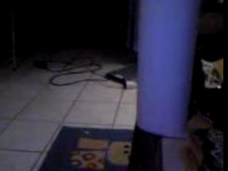 Le chat qui ramene