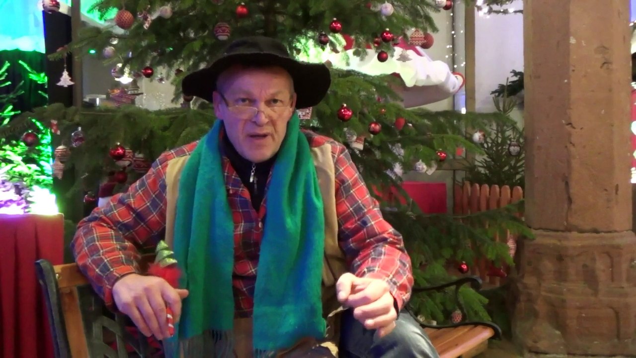 L'exposition de sapins créatifs à Sélestat avec le professeur Sappinus