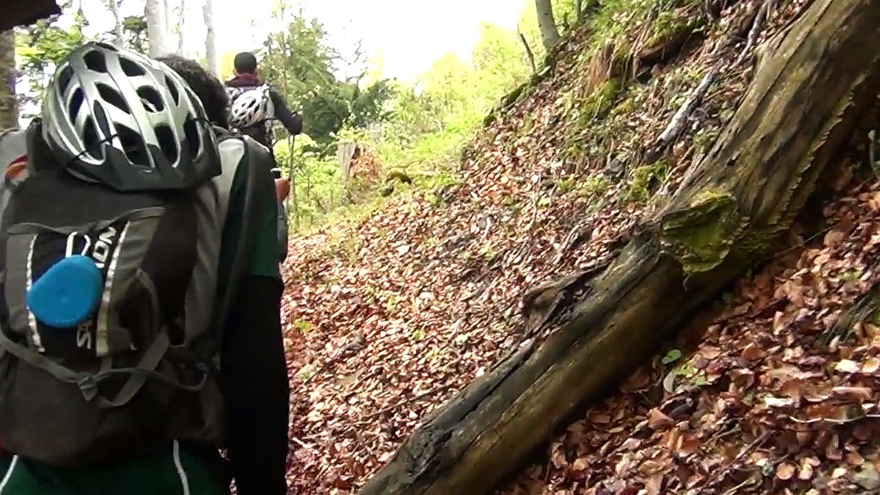 Teaser international Raid Cenrale Paris 2015 (EN)