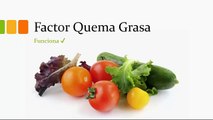 Factor Quema Grasa, alimentos para lograr Desintoxicar Tu Hígado