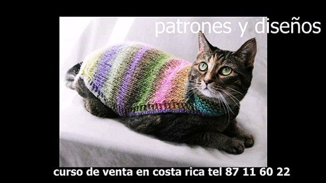 ropa para perros CURSOS EN COSTA RICA