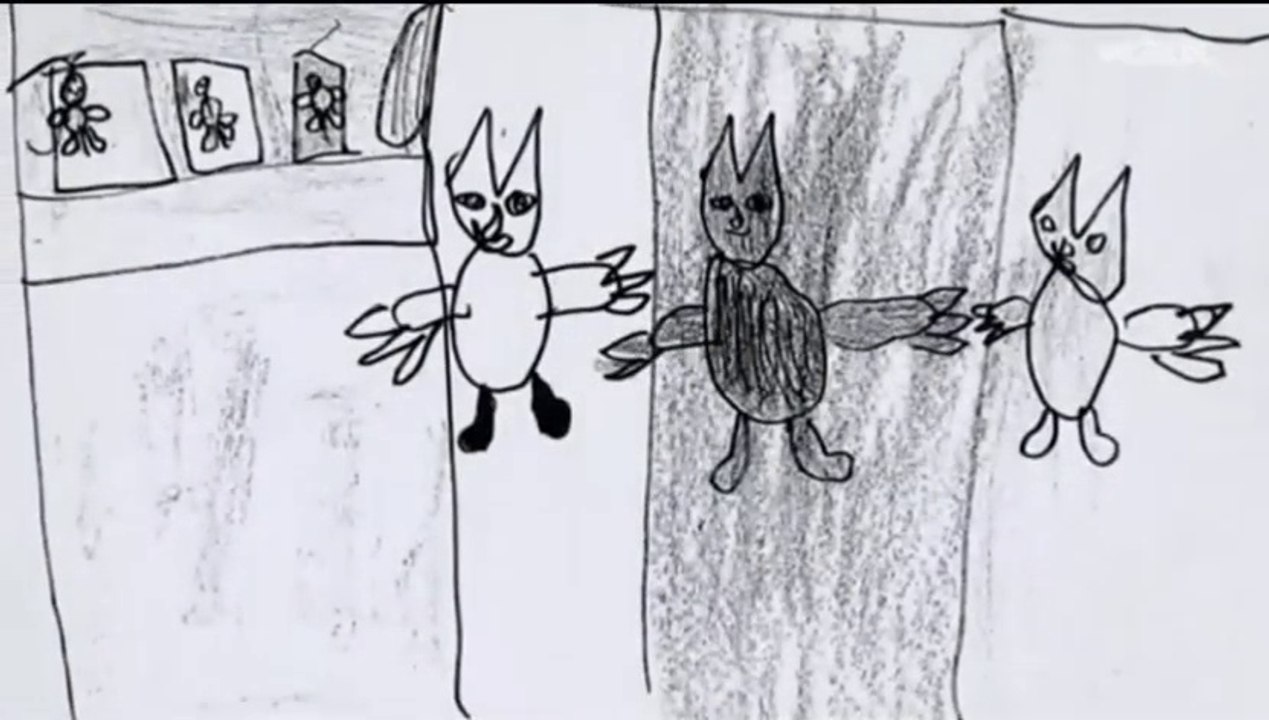 Outreau, l'autre vérité 1/2