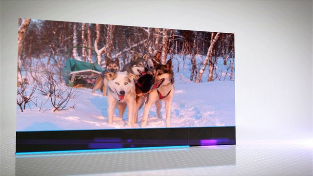 La vie par procuration, jean jacques goldman, piano solo concert