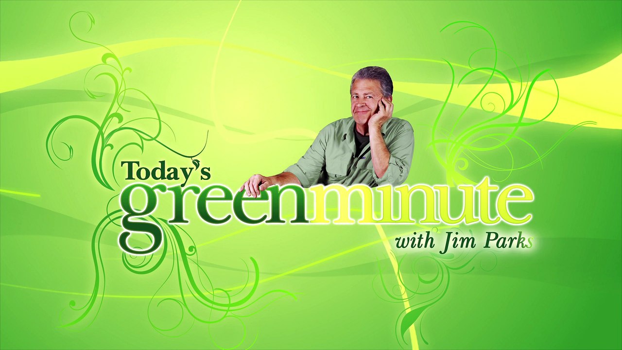 How To Grab Carbon Before You Have To Breathe It!