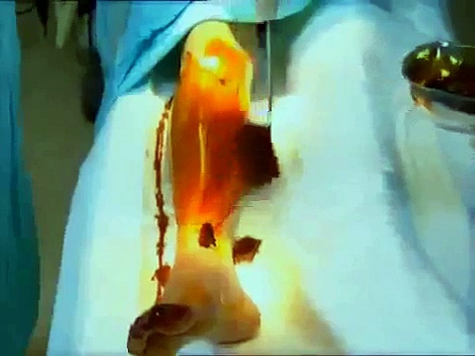 kurtlar vadisi tanrıdan diledim