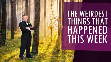 The Weirdest Things That Happened This Week