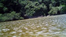 Paraíso Selvagem, Canoagem, Rio Puruba, Praia, Mares, Mergulhos, Natureza Selvagem, Bioma, Mata Atlântica, Marcelo Ambrogi, (58)
