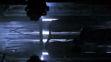 Kat - W sadzie śmiertelnego piękna