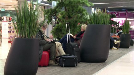 Aéroport de Toulouse aux Sino-canadiens: "rien n'est fait" selon la chambre de commerce