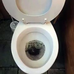 DL the Whisper app - you can share secrets anonymously on there!