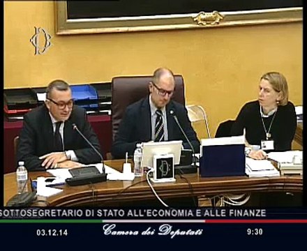Roma - Audizione Sottosegretario Zanetti (03.12.14)