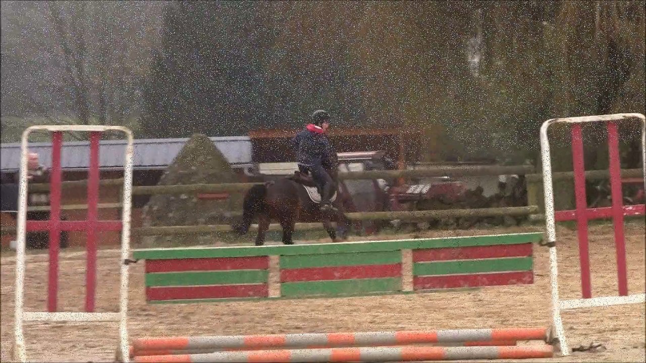 Puissance aux écuries 30/11/14