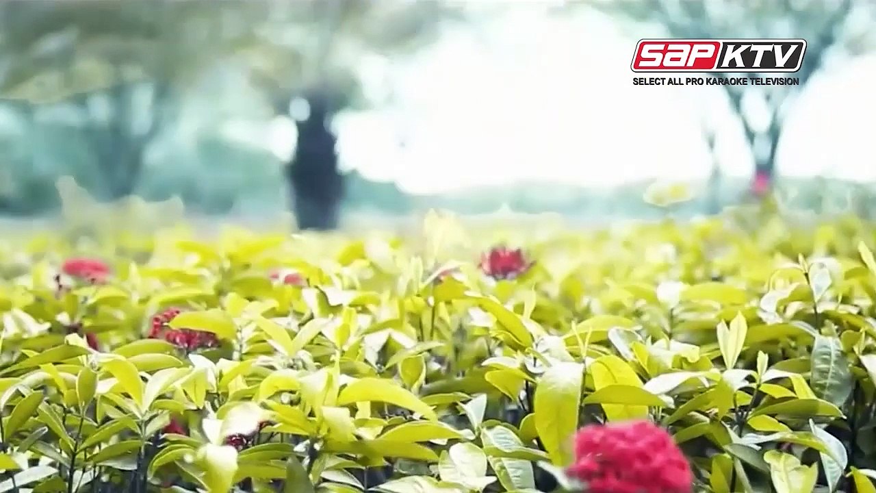 Tinh Anh Khong Doi Thay - Du Thien