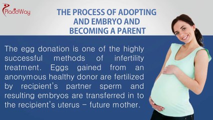 Egg Donation options in Europe | PlacidWay