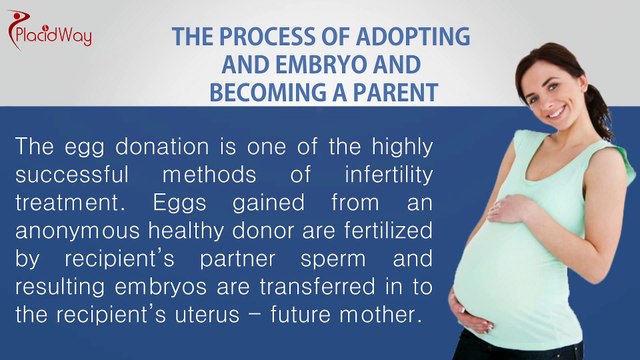 Egg Donation options in Europe | PlacidWay