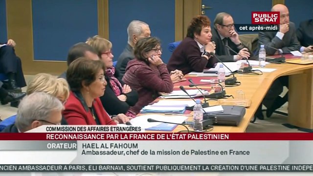 Auditions dans le cadre de la PPR sur la reconnaissance par la France d'un État palestinien - Audition