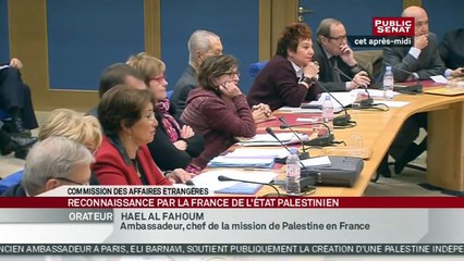 Auditions dans le cadre de la PPR sur la reconnaissance par la France d'un État palestinien - Audition