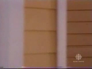 Dispute Gabrielle & Carlos Solis