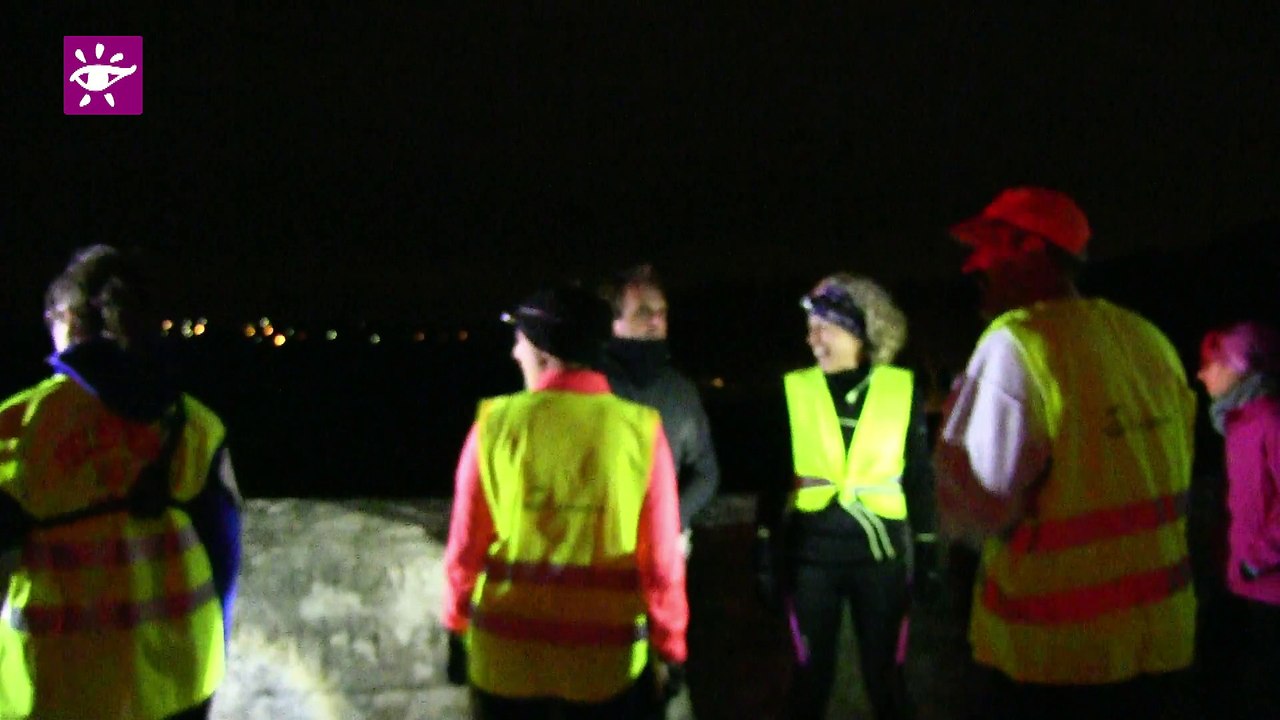 Téléthon 2014  Pont du Gard