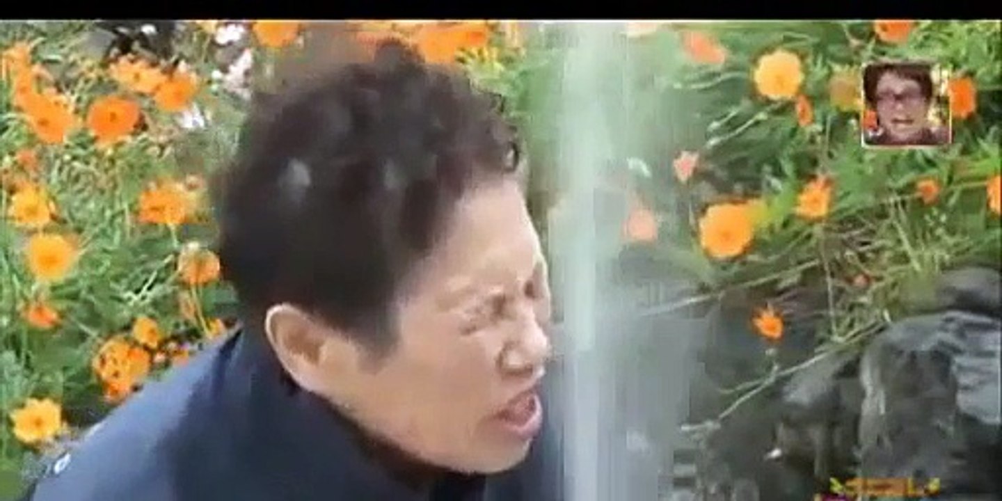 Funny Japanese Funny Videos Funny Pranks Funany Videos 2015 Funny Fails Funny Vines!