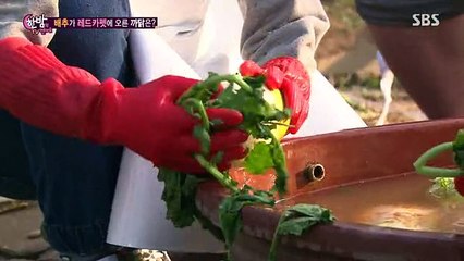 SBS 한밤의 TV연예.E485.141203
