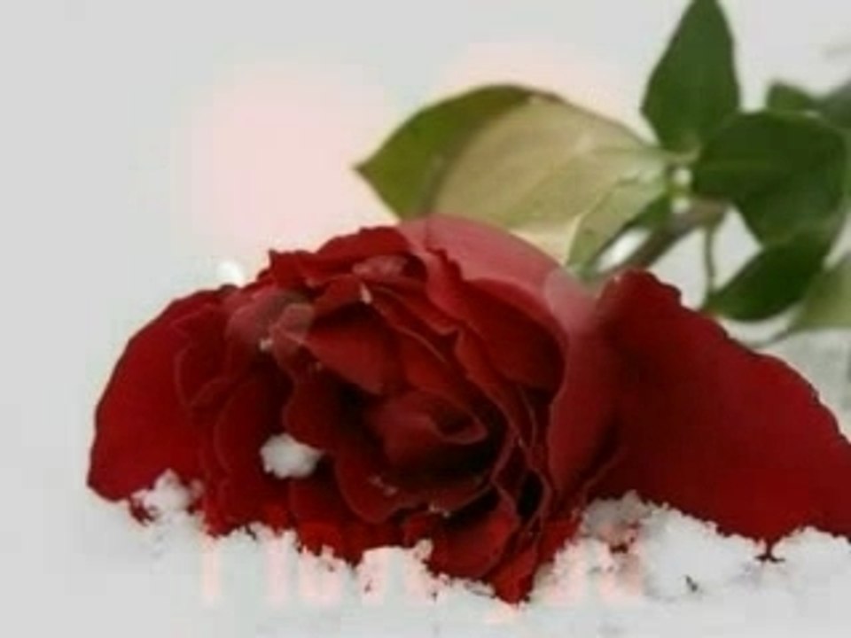 Top  Afghan Mix Songs