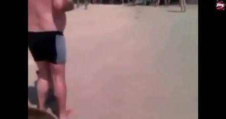 Watch Most Funny Monkey Videos 2015