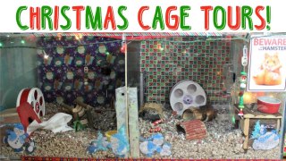 CHRISTMAS CAGE TOURS!