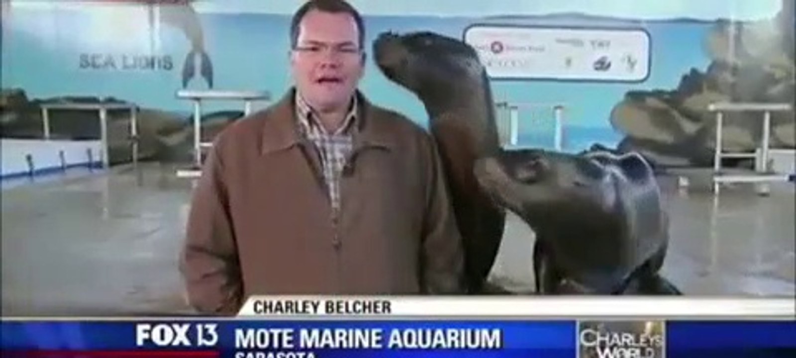 2015 Top 30 funniest ever News bloopers