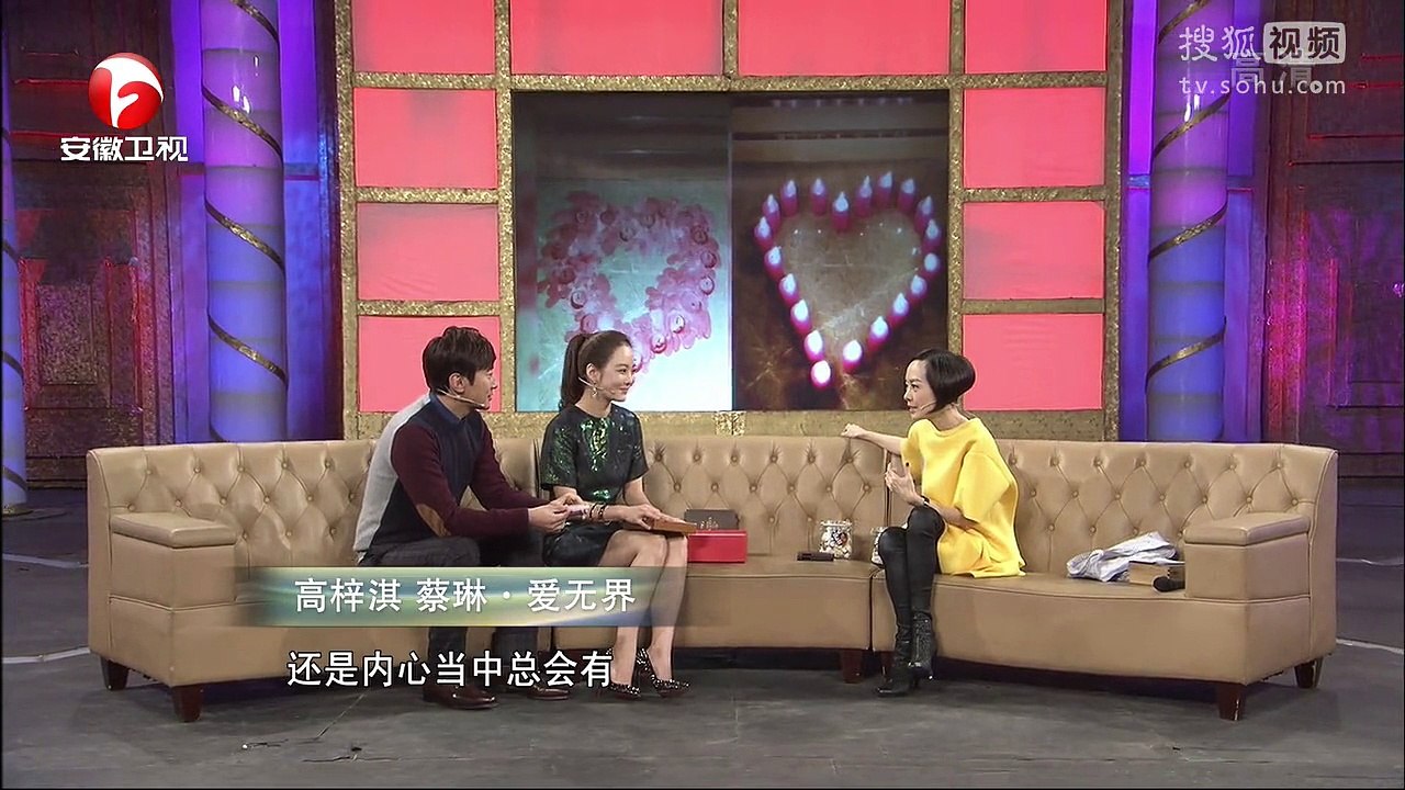 20141204 爱传万家-说出你的故事 蔡琳 爱无界