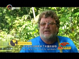 20141204 经典人文地理 []亚马孙河的黑水地段