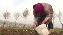 Syrian refugees fear winter food shortages