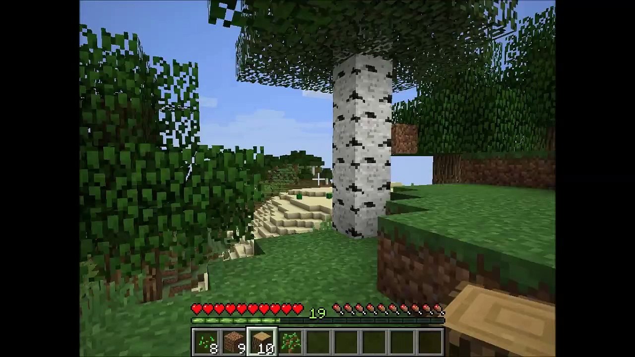 Minecraft #012 Diva und TeamFantiX Surival Training