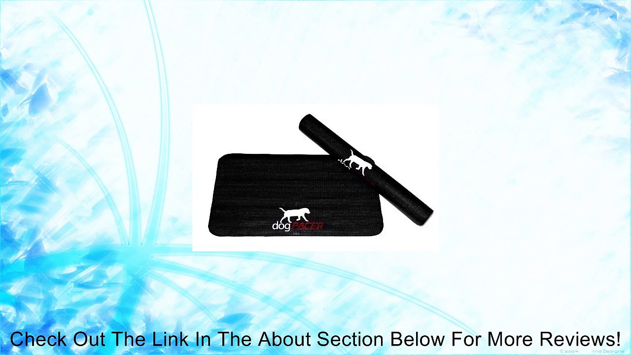 DogPACER Dog Treadmill Mat - Dog Pacer Review