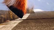 Funny Animal animation - Lama Drama - short movie May 2014 [HD] -Caminandes-