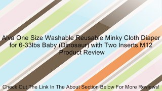Alva One Size Washable Reusable Minky Cloth Diaper for 6-33lbs Baby (Dinosaur) with Two Inserts M12 Review