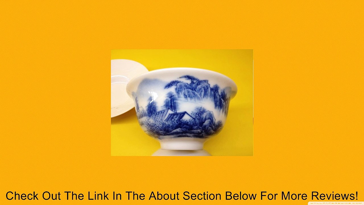 Chinese Porcelain Gaiwan (Medium) with "Blue and White" Landscape Scenery Review