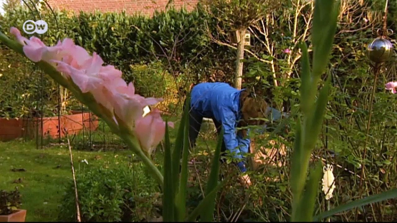 Karina Appeldorn - Pâtissière des Jahres | Euromaxx