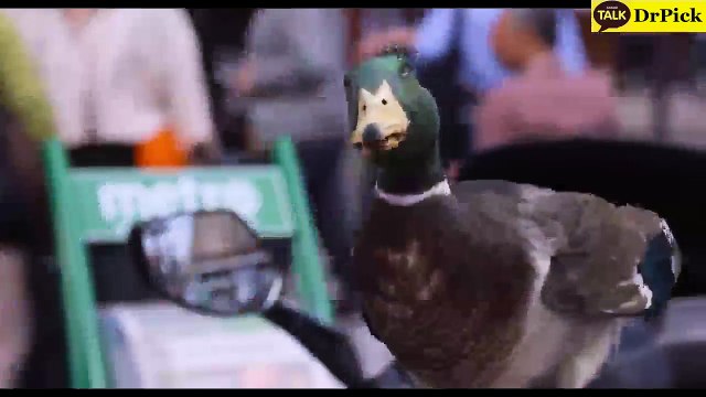 토­토­스­포­츠­배­팅 ◎┳◎▶ 《〈­Ｌ­Ｔ­Ｅ­８­９­저~엄Ｃ­Ｏ­Ｍ­〉》◀◎┳◎ 【네­임­드­사­다­리­게­임】스­마­트­폰­스­포­츠­게