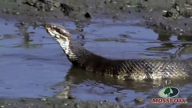 우­리­바­카­라­사­이­트­¶¶¶《­DBB105。Ｃ0Ｍ 》¶¶¶­바­카­라­게­임