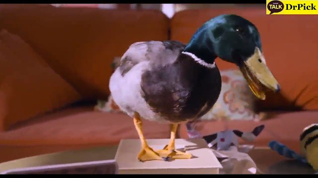 놀­이­터­추­천안­전­토­토­사­이­트 ◎┳◎▶ 《〈­Ｌ­Ｔ­Ｅ­８­９­ㆍ­Ｃ­Ｏ­Ｍ­〉》◀◎┳◎ 【스­마­트­폰­토­토】네­임­드­사­다­리