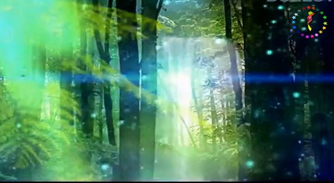 Ayhan ALptekin ♫ ♥ ♪ Soore