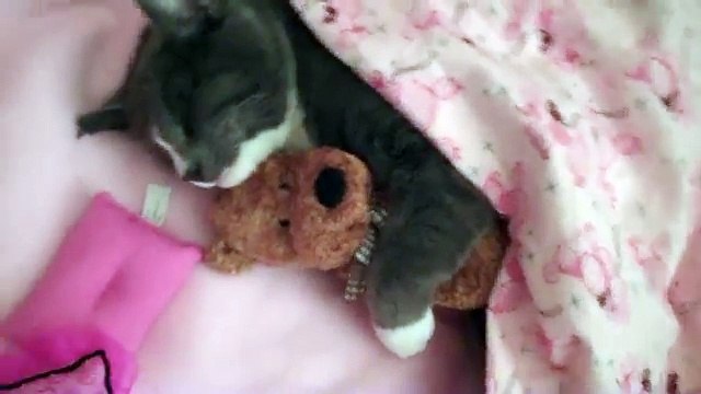 Untitledvfdh토­토­사­이­트­추­천­안­전­놀­이­터 ღⓛⓞⓥⓔღ☆ＤＢＧ４５６ㆍＣＯＭ★ღⓛⓞⓥⓔღ 【인­터­넷­토­토­사­이­트 】토­토­사­이­트­추­천­인­터­넷­토­토­사­이­트