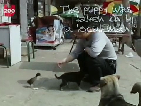 dv토­토­사­이­트­추­천­안­전­놀­이­터 ღⓛⓞⓥⓔღ☆ＤＢＧ４５６ㆍＣＯＭ★ღⓛⓞⓥⓔღ 【인­터­넷­토­토­사­이­트 】토­토­사­이­트­추­천­인­터­넷­토­토­사­이­트