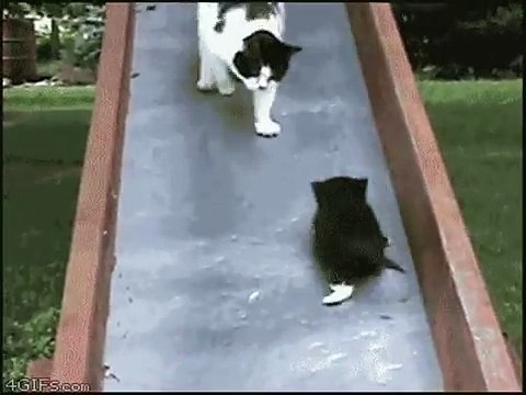 dv토­토­사­이­트­추­천­안­전­놀­이­터 ღⓛⓞⓥⓔღ☆ＤＢＧ４５６ㆍＣＯＭ★ღⓛⓞⓥⓔღ 【인­터­넷­토­토­사­이­트 】토­토­사­이­트­추­천­인­터­넷­토­토­사­이­트